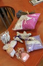 MAS Železnohorský region