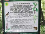 Naučná stezka KOTVICE