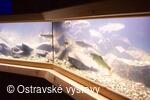 Akvária ve sklepení Slezskoostravského hradu