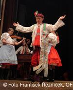 Mezinárodní folklorní festival Folklor bez hranic