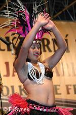 Mezinárodní folklorní festival Pražský jarmark