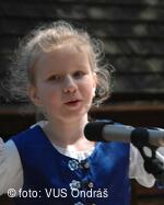 Mezinárodní armádní festival Rožnovská Valaška