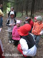 Procházka pohádkovým lesem