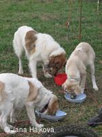Trnávský sprint 4. ročník - 1. - 2.11.2008
