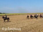 jezdci na poli