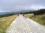 Krkonoše 2009
