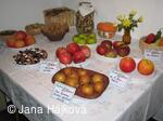Výstava ovoce, zeleniny a květin