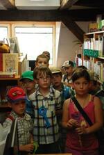 Městská knihovna Frenštát p. R.